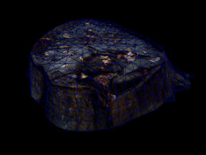 Trunk Pack Photoscanned Trunks 6 Low-poly 3D Model