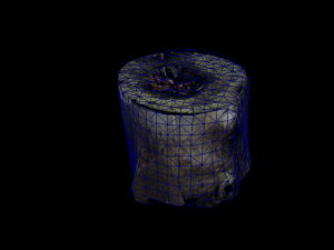 Trunk Pack Photoscanned Trunks 6 Low-poly 3D Model