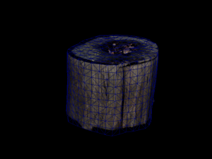 Trunk Pack Photoscanned Trunks 6 Low-poly 3D Model