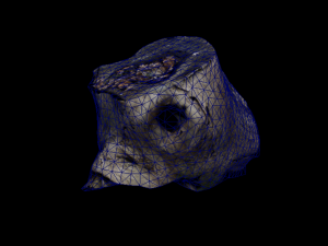 Trunk Pack Photoscanned Trunks 6 Low-poly 3D Model