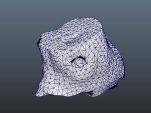 Trunk Pack Photoscanned Trunks 6 Low-poly 3D Model