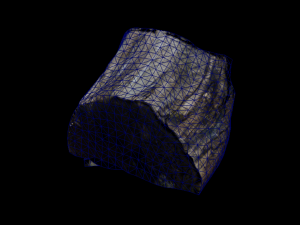 Trunk Pack Photoscanned Trunks 6 Low-poly 3D Model