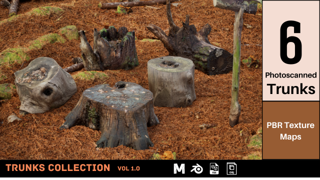 Trunk Pack Photoscanned Trunks 6 Low-poly 3D Model .c4d .max .obj .3ds .fbx .stl .blend 