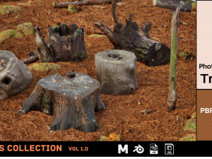Trunk Pack Photoscanned Trunks 6 Low-poly 3D Модель
