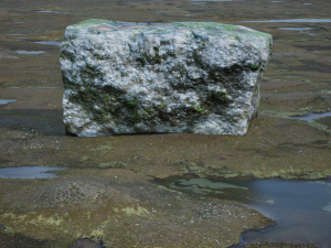 Rocks Pack Photoscanned Low Poly Modèle 3D