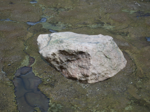Rocks Pack Photoscanned Low Poly Modèle 3D