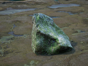 Rocks Pack Photoscanned Low Poly Modèle 3D