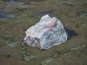 Rocks Pack Photoscanned Low Poly Modèle 3D