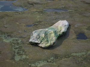 Rocks Pack Photoscanned Low Poly Modèle 3D