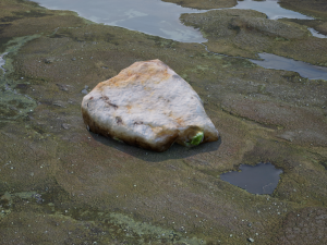 Rocks Pack Photoscanned Low Poly Modèle 3D