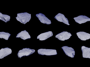 Rocks Pack Photoscanned Low Poly Low-poly Model 3D