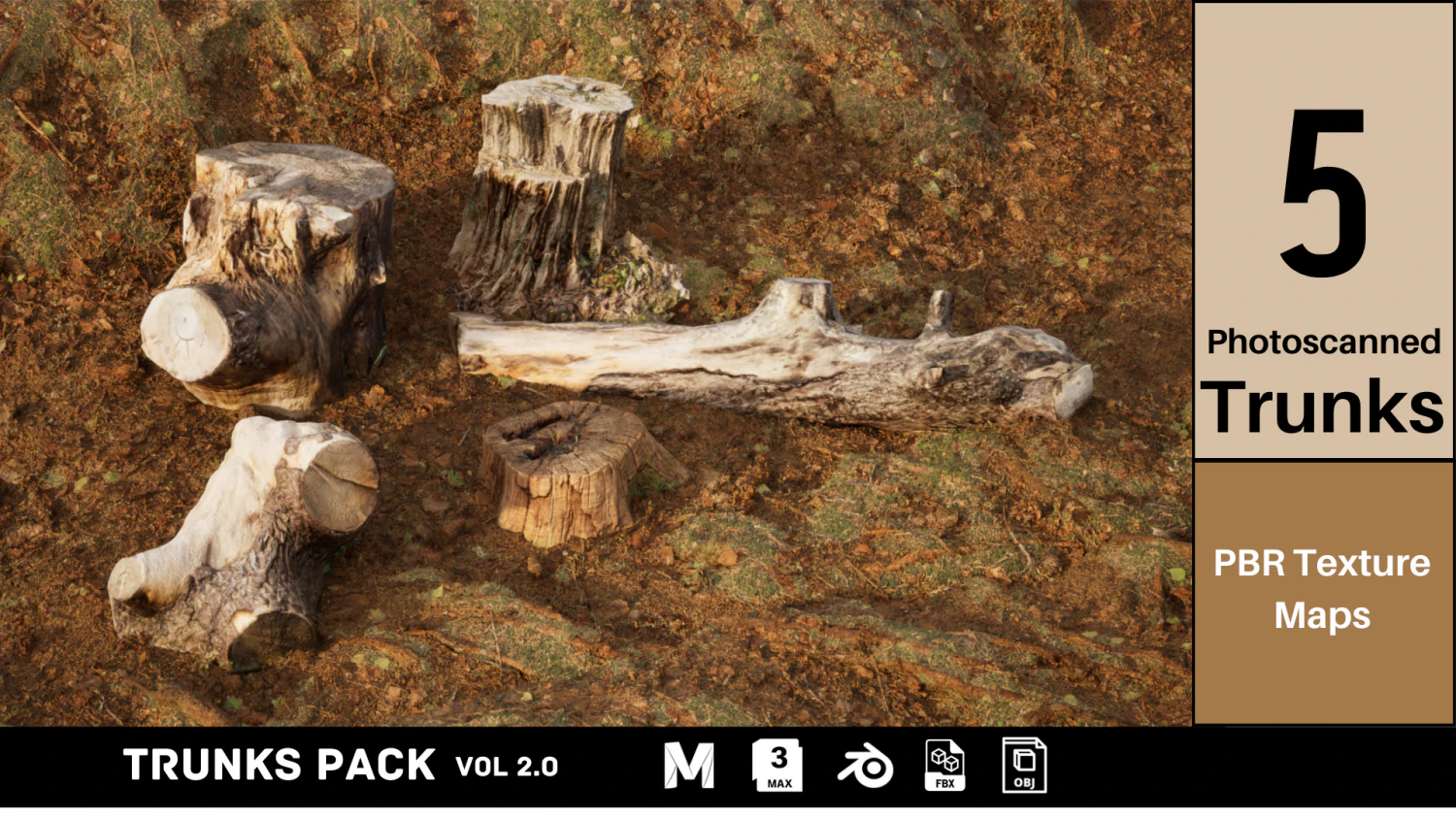 Photoscanned Trunks Tree 3D Model .c4d .max .obj .3ds .fbx .stl .blend 