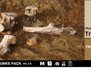 Fotoğraflarcanlanmış Gövde Ağacı 3D Model