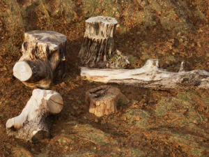 Photoscanned Trunks Tree 3D Model