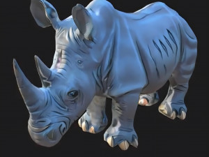 Rhinoceros 3D मॉडल