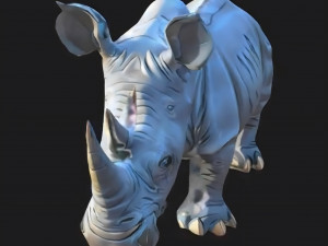 Rhinoceros 3D Модель