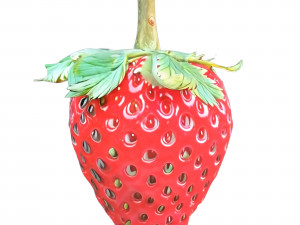 Strawberry 3 transparent 3D Model