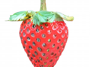 Strawberry 3 transparent 3D 模型
