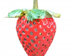 Morango 3 transparente Modelo 3D