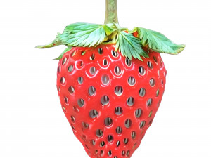 Strawberry 3 transparent 3D 模型