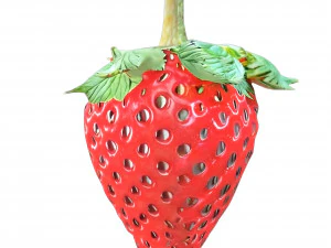 Morango 3 transparente Modelo 3D