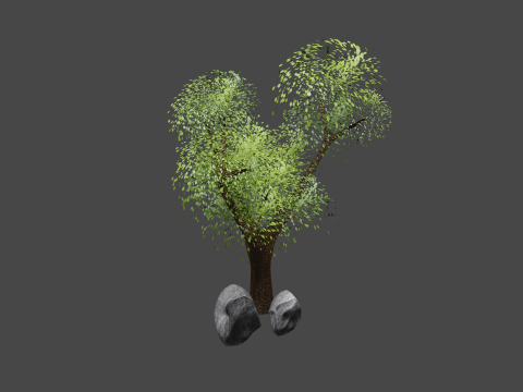 Tree 3D मॉडल