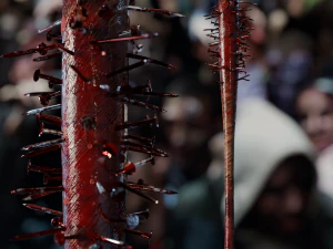 박쥐 혈액 3D 모델