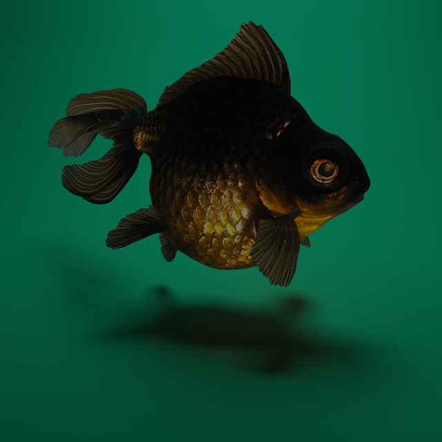 Gold fish 3D मॉडल .c4d .max .obj .3ds .fbx .stl .blend 