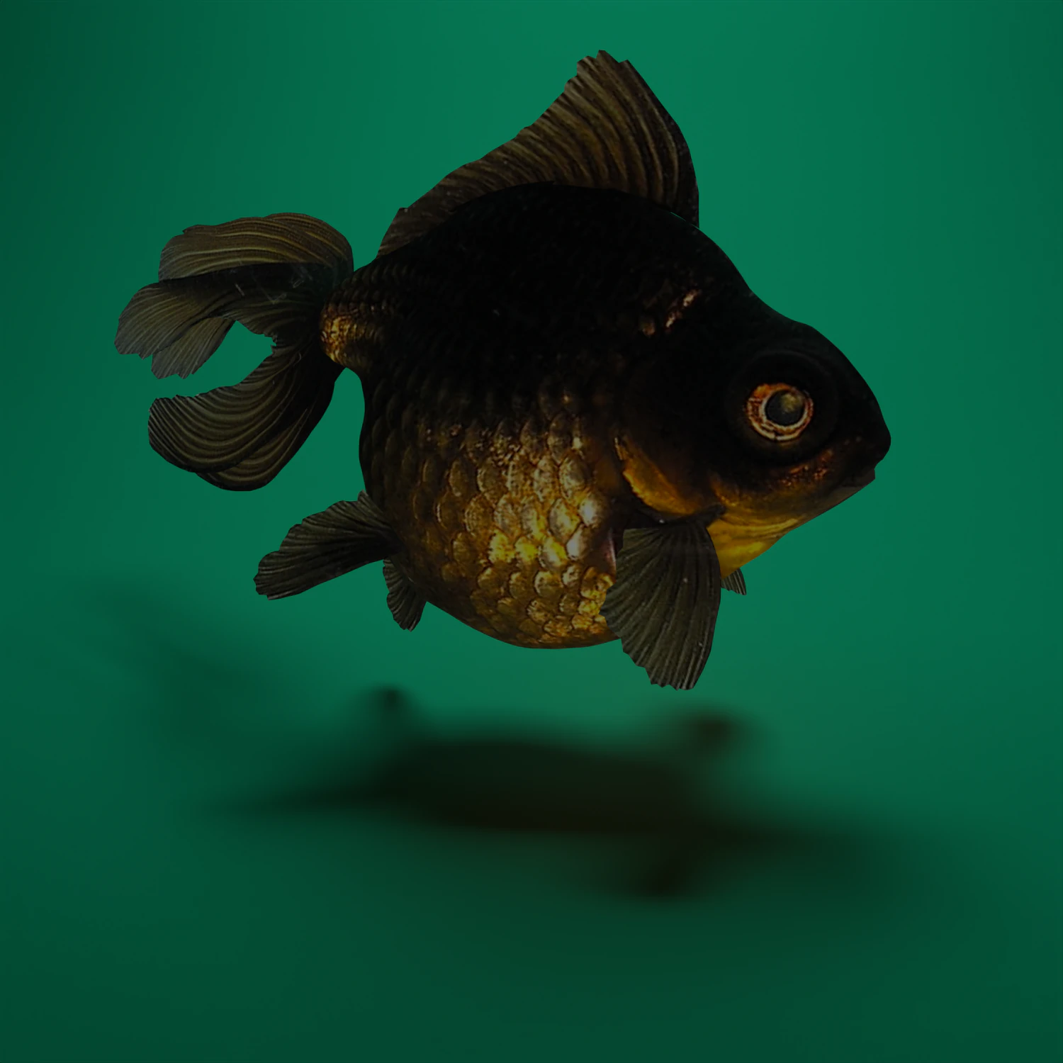 Gold fish 3D Model .c4d .max .obj .3ds .fbx .stl .blend 