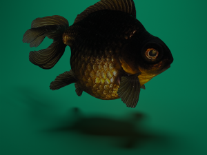 Gold fish Modelo 3D