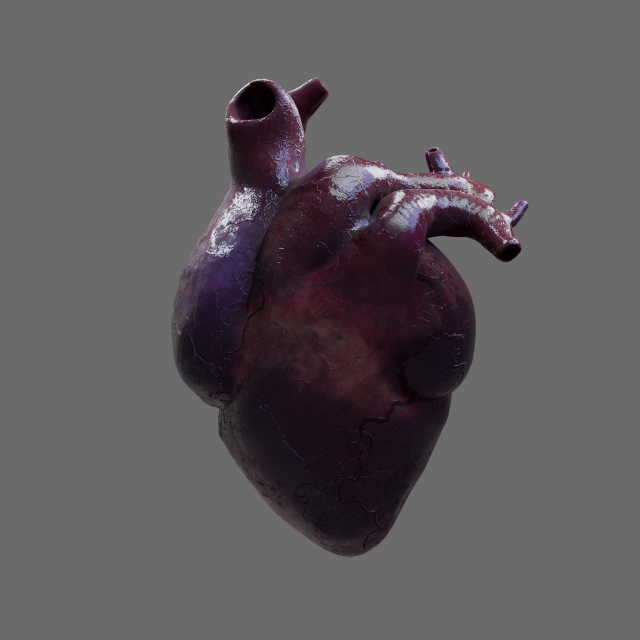 Heart 3D Модель .c4d .max .obj .3ds .fbx .stl .blend 