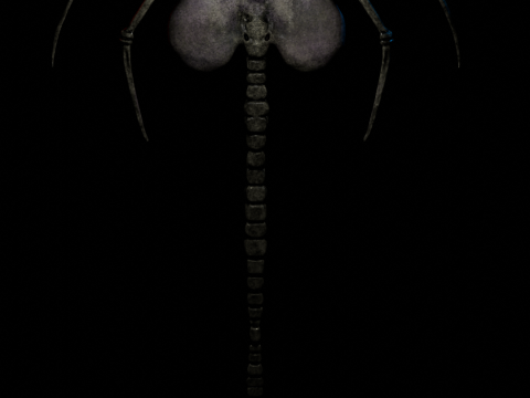FaceHugger 3D 모델