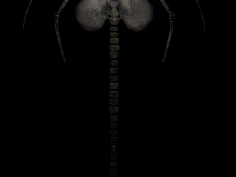 FaceHugger 3D Model