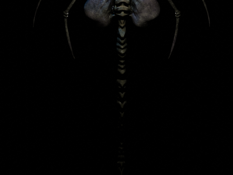 FaceHugger 3D 모델