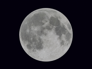 Moon 3D Model