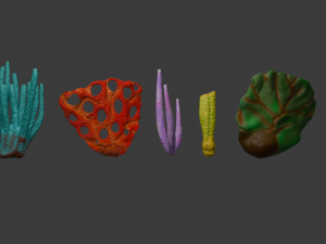 Reef Modello 3D