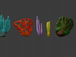 Reef 3D Model