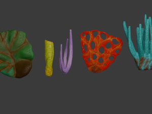 Reef Modello 3D