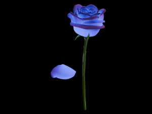 Rose Modello 3D