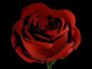 Rose 3D Model