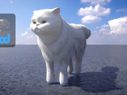 Kot perski Model 3D