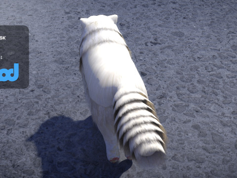 Persian Cat 3D Model