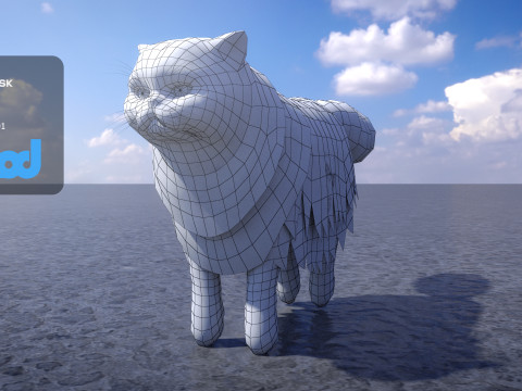 Persian Cat 3D Model