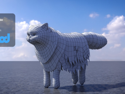 Persian Cat 3D Model