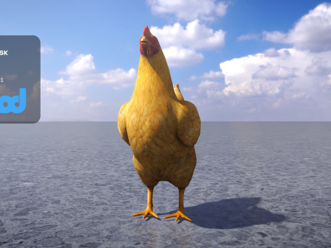 Chicken 3Dモデル
