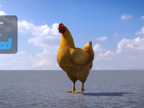 Chicken 3D Model