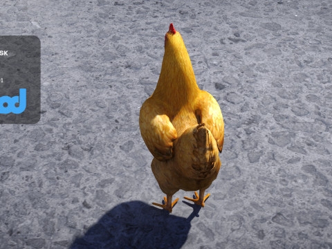 Chicken 3D Model