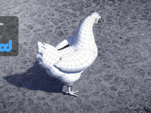 Chicken 3D Model