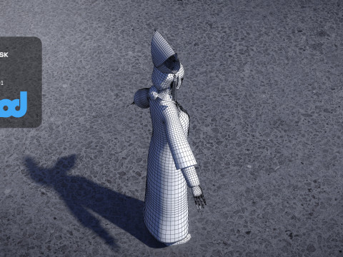 Chinese Palace Maid 3D मॉडल