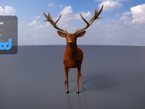 Deer 001 3Dモデル